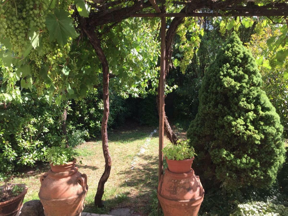 Giuseppe Giovannetti 50 Villa Lucca Eksteriør bilde